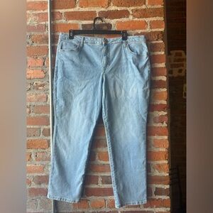 Terra & Sky Light Blue Straight Leg Jeans